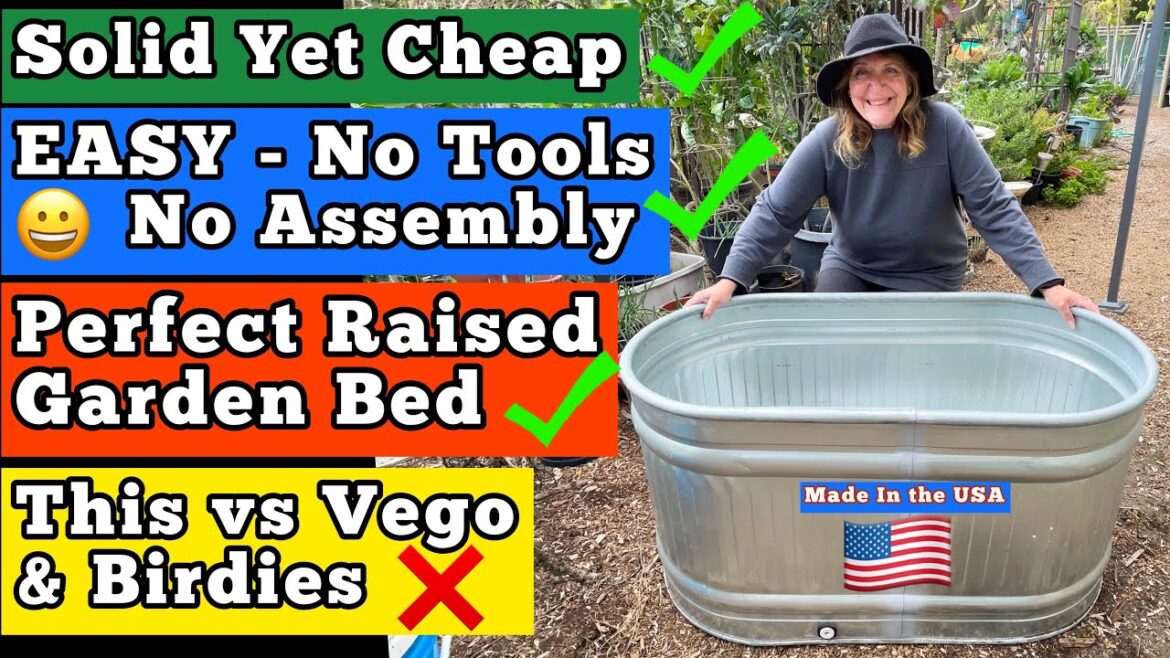 How to Build a Raised Bed EASY-Get a READY to GROW Metal Elevated Garden Container Vegetable Planter How to Build a Raised Bed EASY-Get a READY to GROW Metal Elevated Garden Container Vegetable Planter
