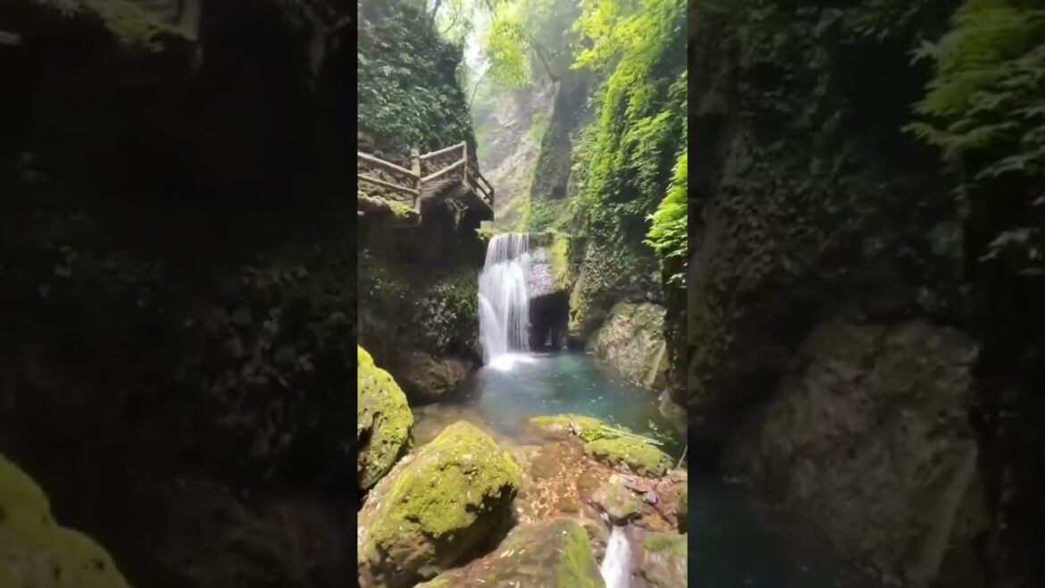 Beautiful Nature Garden Plan Natural life Style Beautiful landscapes