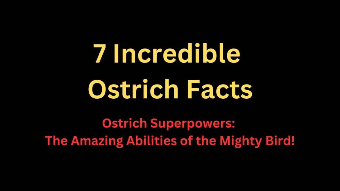 7 Incredible Ostrich Facts | Ostrich Superpowers: The Amazing Abilities of the Mighty Bird!