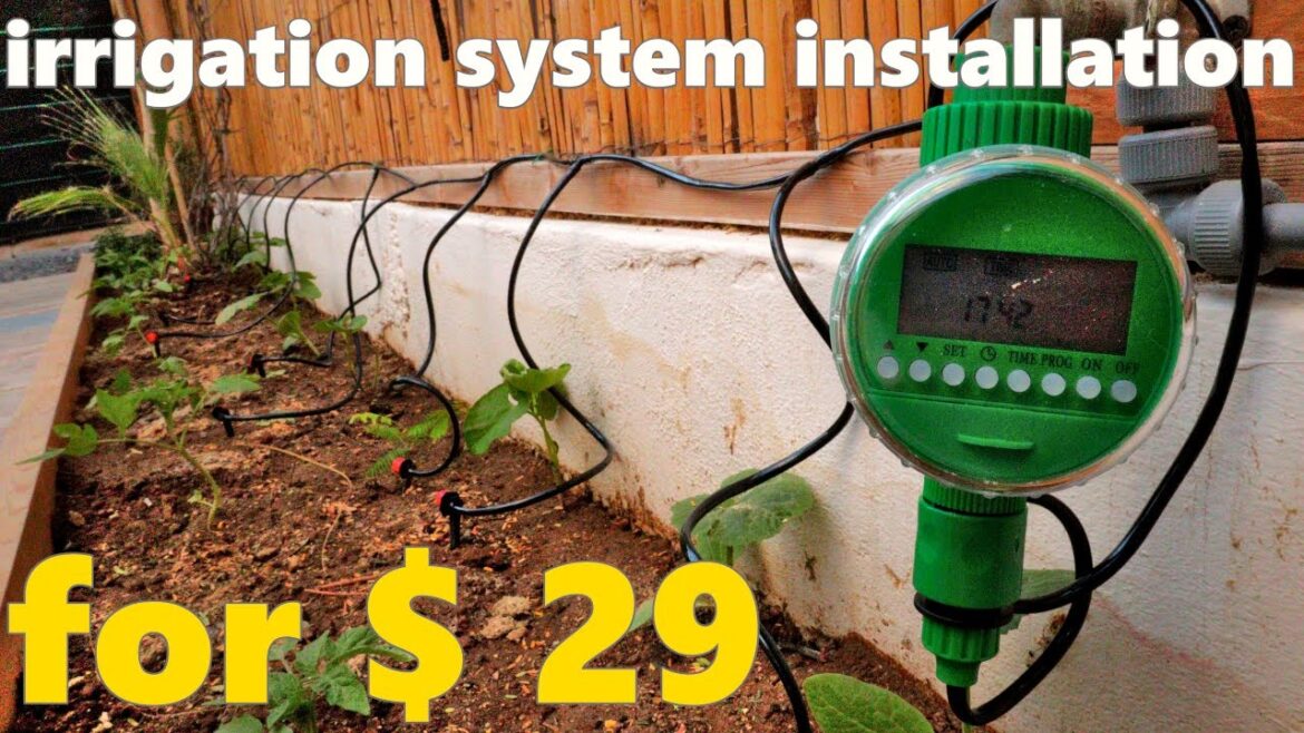Easy Step by Step DIY Automatic Watering System For Garden Easy Step by Step DIY Automatic Watering System For Garden