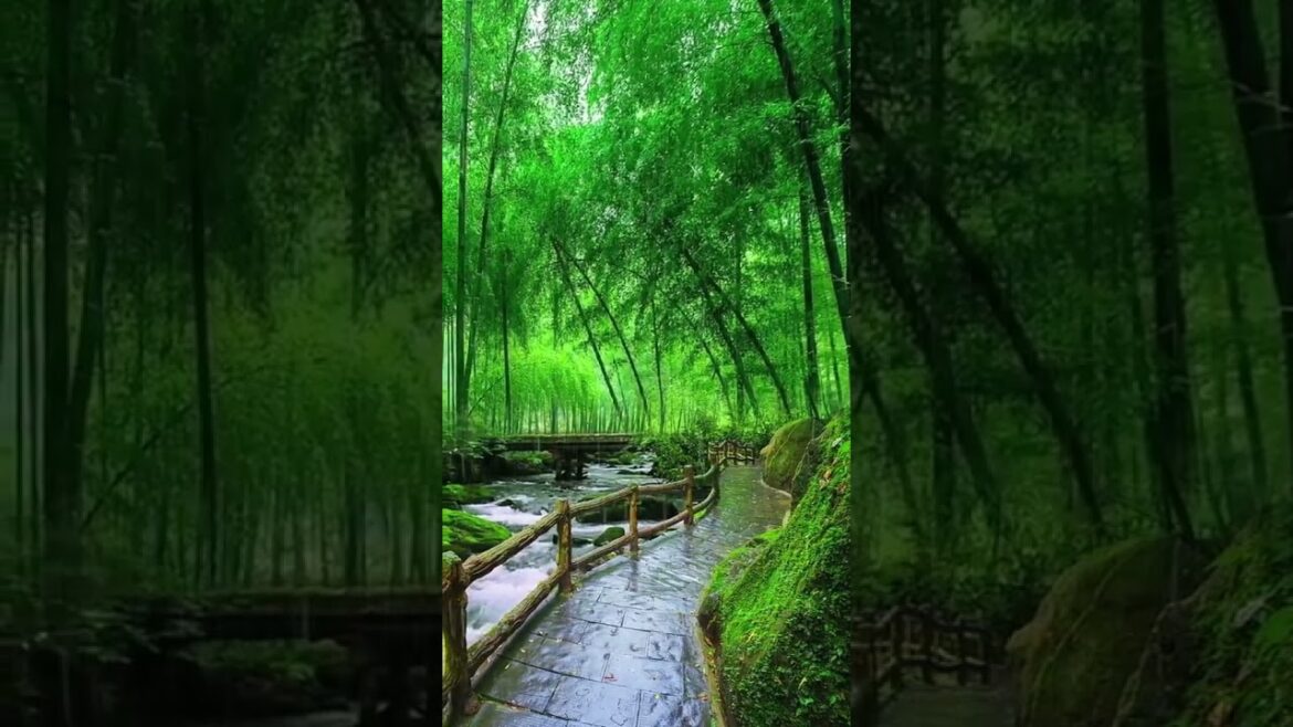 Beautiful Nature Garden Plan Natural life Style Beautiful landscapes Beautiful Nature Garden Plan Natural life Style Beautiful landscapes