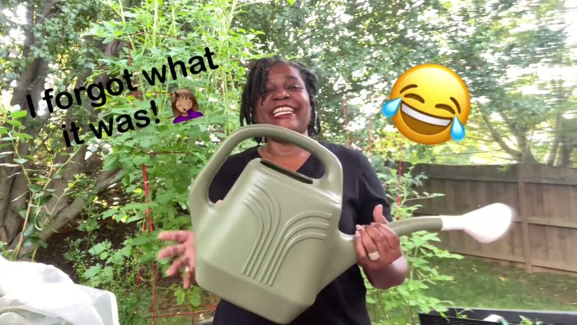 How to use 511 to keep your garden growing! (Container Gardening) How to use 511 to keep your garden growing! (Container Gardening)