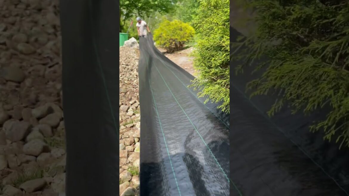 How to Install Landscape Fabric #backyard-shorts#landscaping  ideas