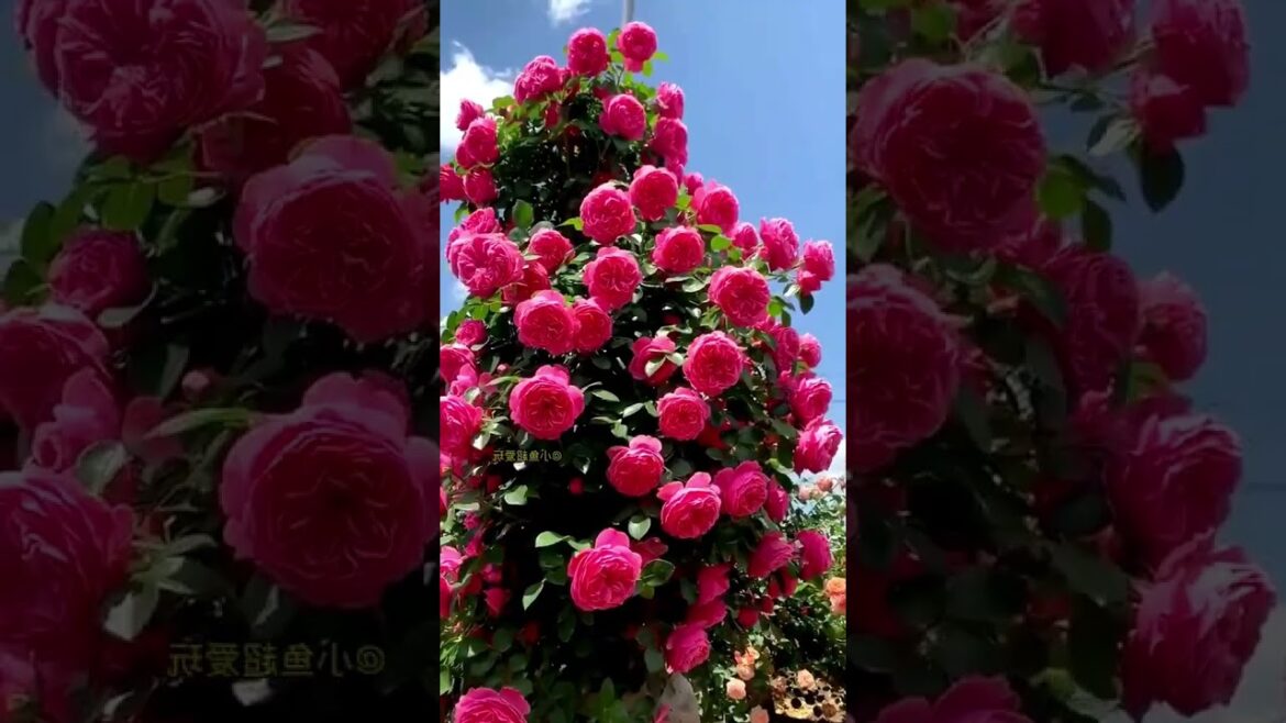 Beautiful Nature Garden Plan Natural life Style Beautiful landscapes