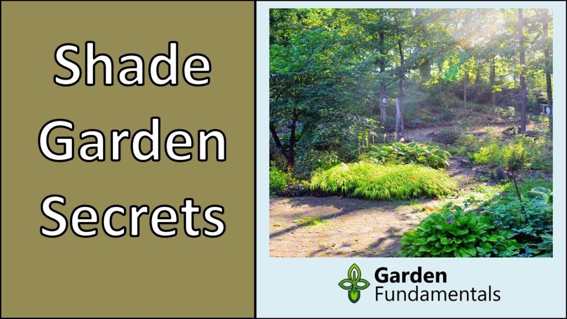How to Create a Beautiful Shade Garden - Solve Problem Areas (secrets of shade gardeners)