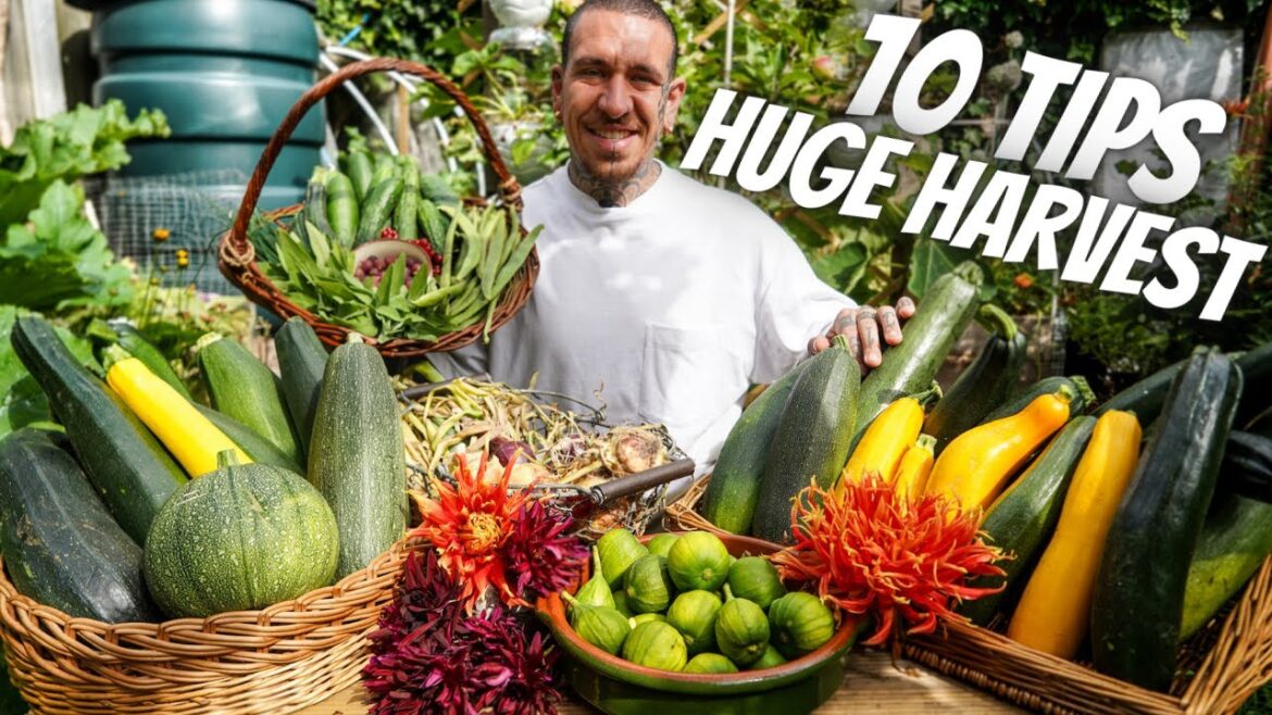 10 Gardening Tips that ACTUALLY Works 10 Gardening Tips that ACTUALLY Works