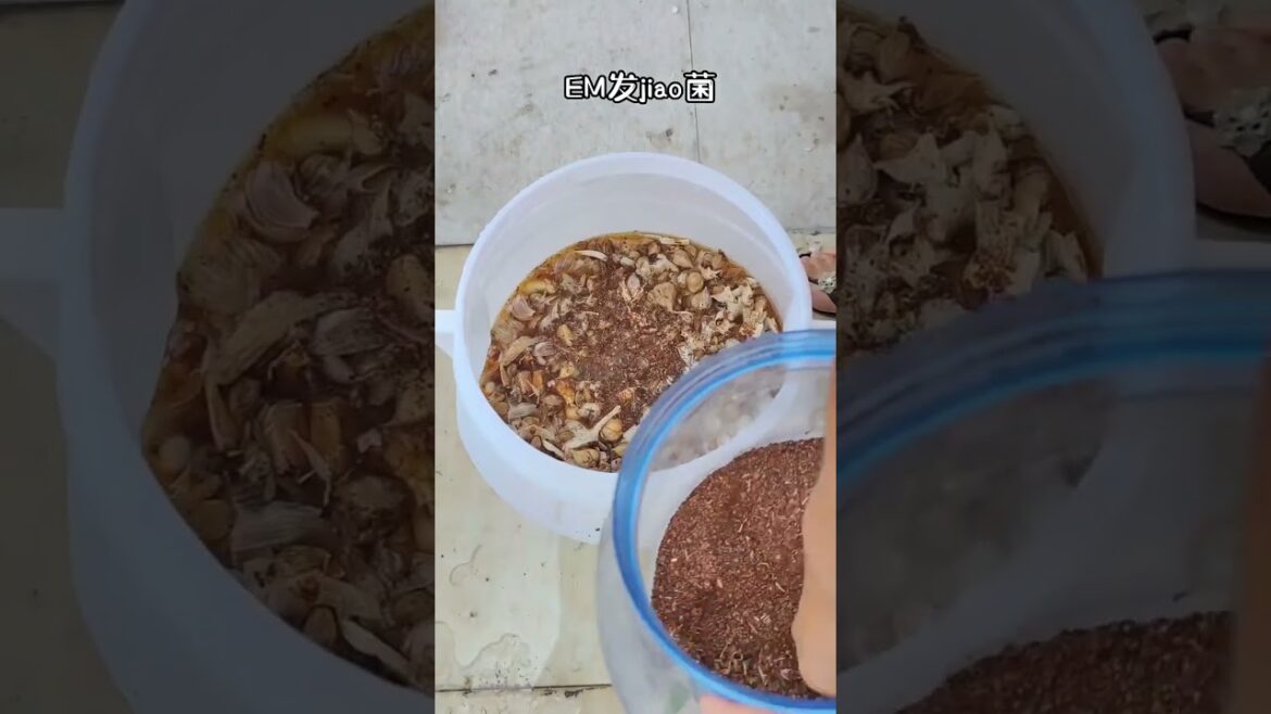 Garden Vlog  from countryside with vegetable natural