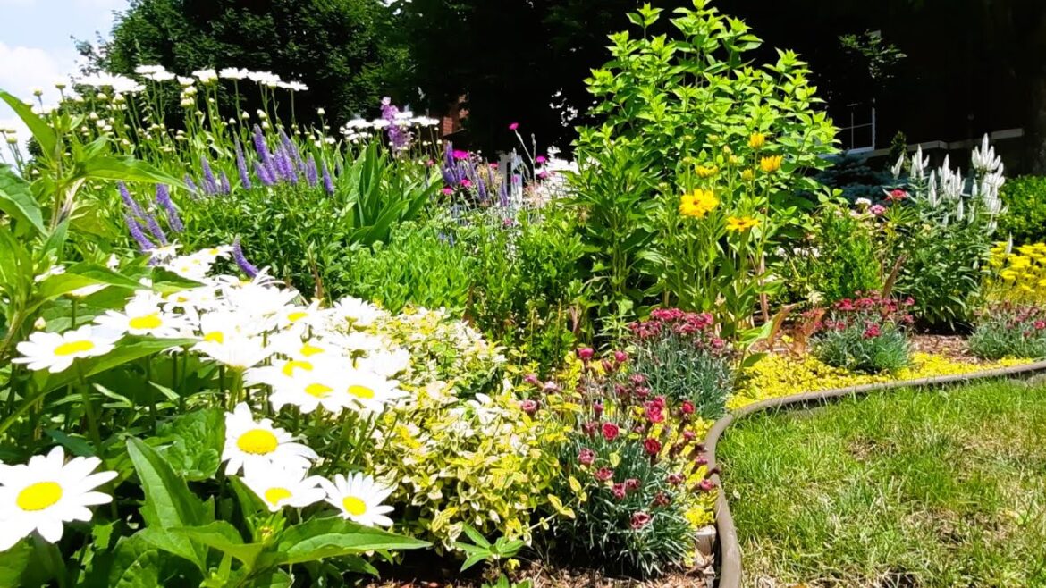 Small Front Yard Garden | Perennial Garden Tour #garden #gardentour #gardening #new #relaxing Small Front Yard Garden | Perennial Garden Tour #garden #gardentour #gardening #new #relaxing