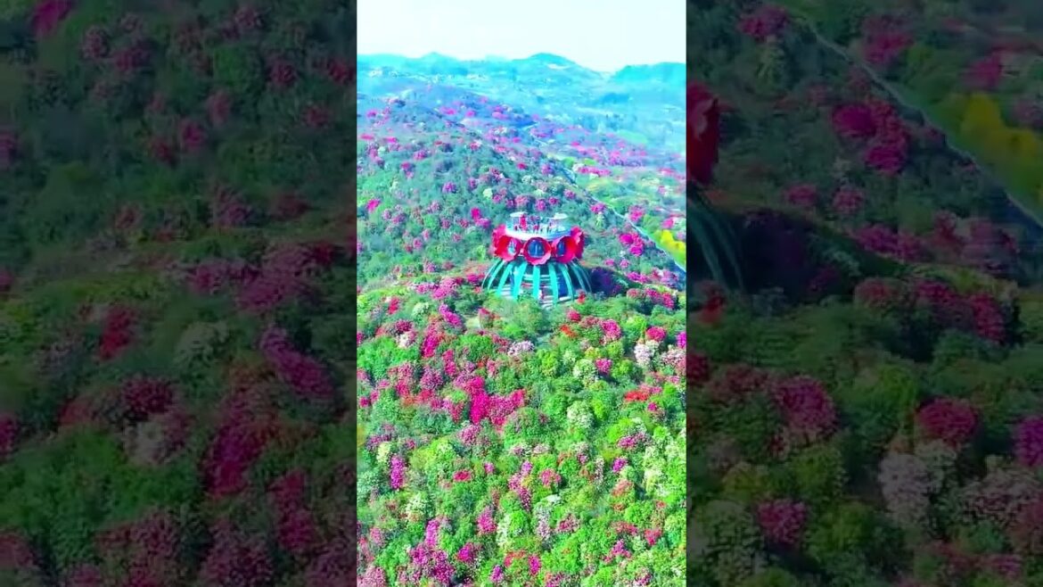 Beautiful Nature Garden Plan Natural life Style Beautiful landscapes Beautiful Nature Garden Plan Natural life Style Beautiful landscapes