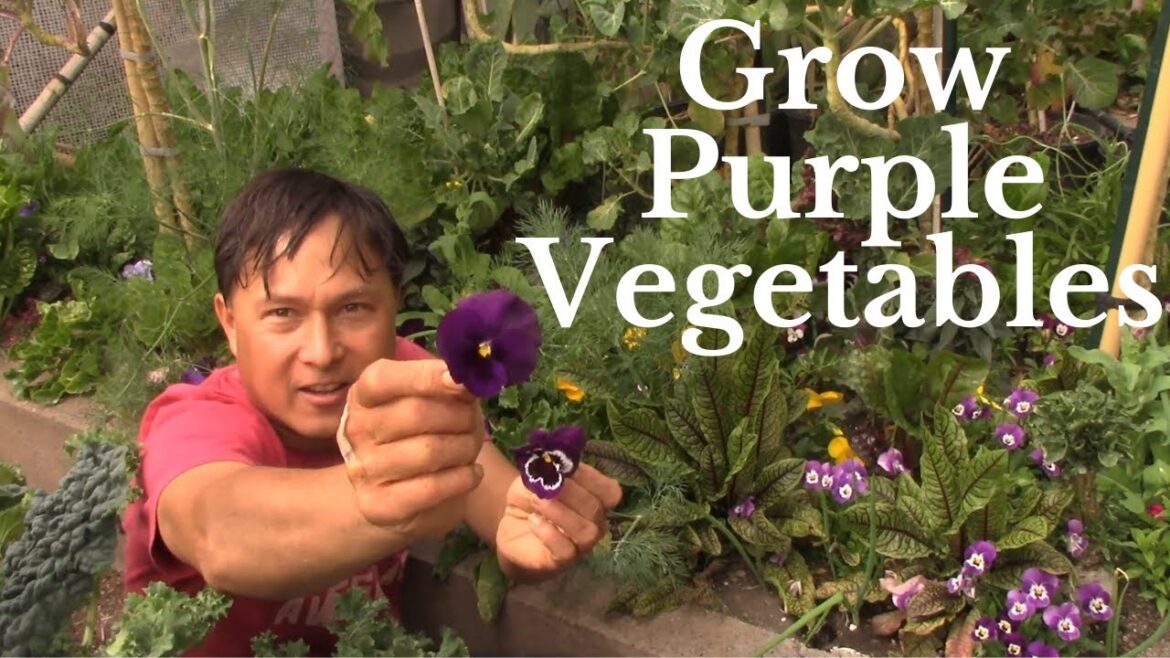Why Every Gardener Needs to Grow Purple Vegetables