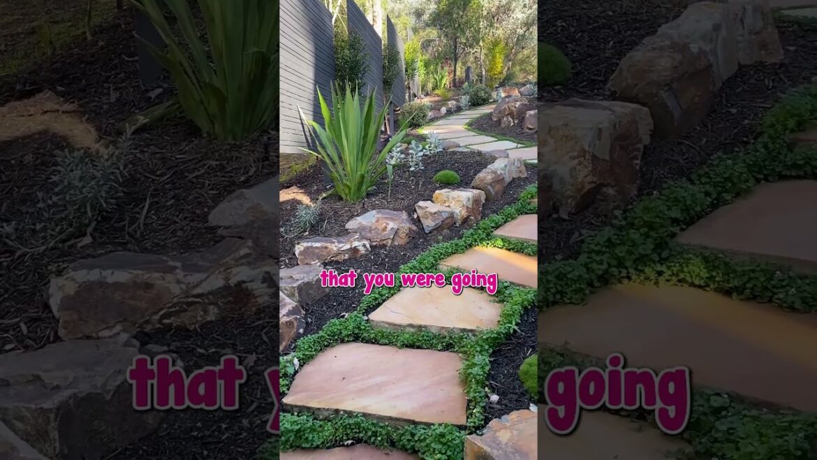 ⭐️James wisely embraced our FREE Garden Design service and was astounded!! ⭐️James wisely embraced our FREE Garden Design service and was astounded!!