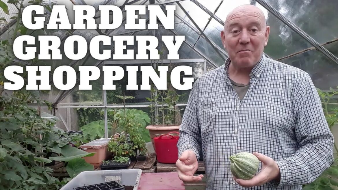 Garden Grocery Store [Gardening Allotment UK] [Grow Vegetables At Home ]