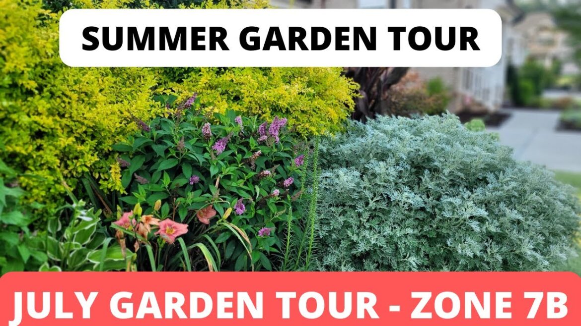 2023 Summer Garden Tour | Front Yard Garden Plants | Long Blooming Perennials for Front Yard