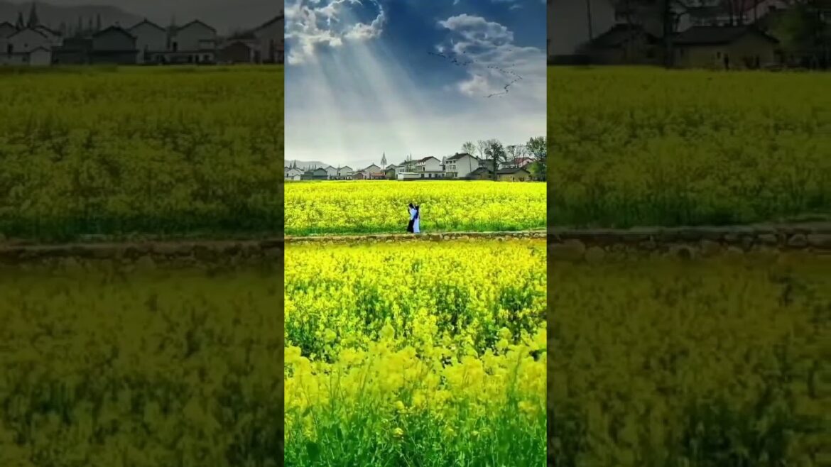 Beautiful Nature Garden Plan Natural life Style Beautiful landscapes Beautiful Nature Garden Plan Natural life Style Beautiful landscapes