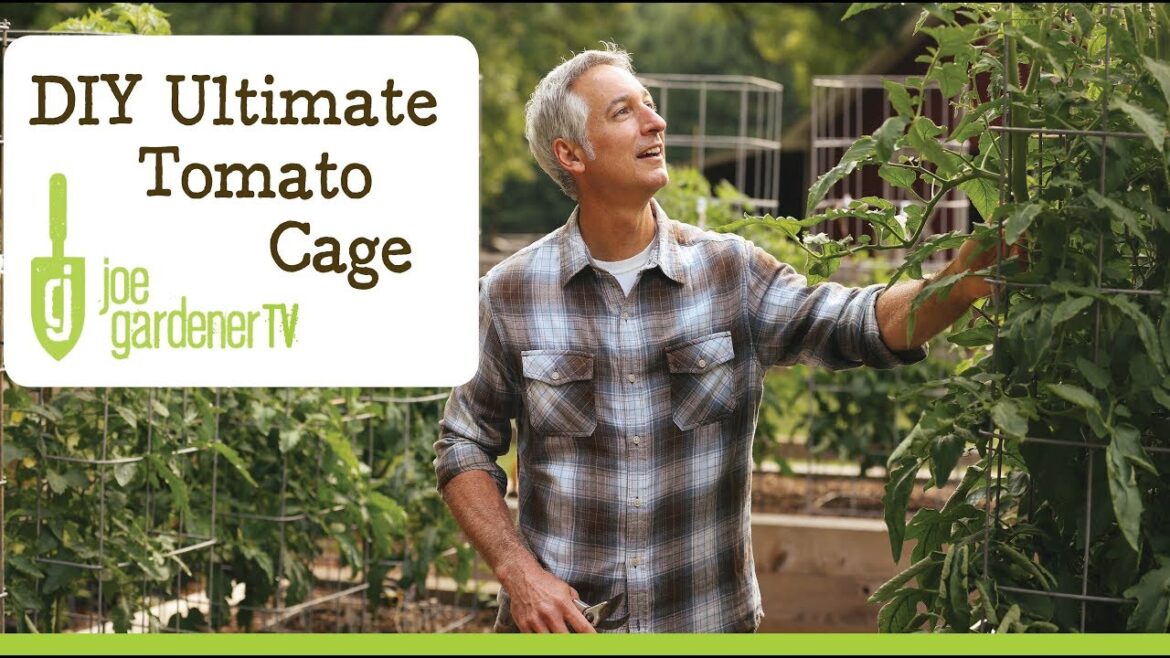 How to Make the Ultimate Tomato Cage How to Make the Ultimate Tomato Cage