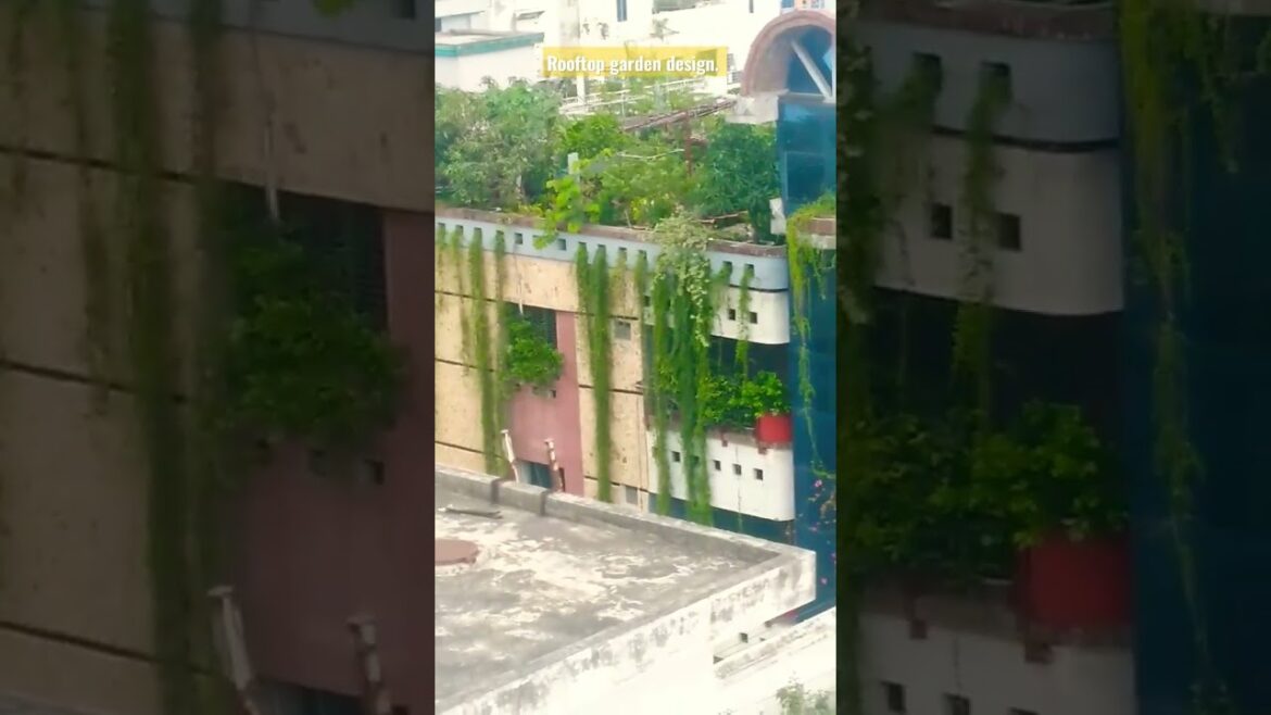 Rooftop garden design. Designers idea. Garden planning. #viral #shorts #short #video #subscribe
