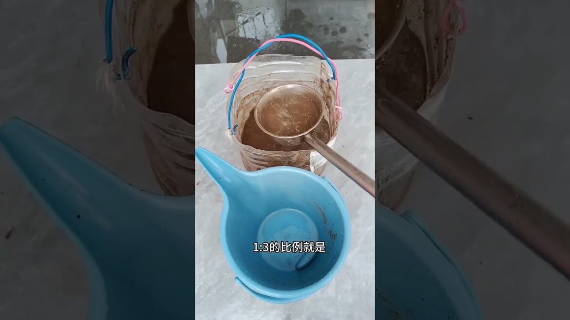 Garden Vlog  from countryside with vegetable natural