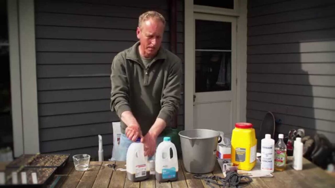 How to Get Rid of Slugs and Snails and How to Make a Codling Moth Trap | Organic Edible Garden How to Get Rid of Slugs and Snails and How to Make a Codling Moth Trap | Organic Edible Garden