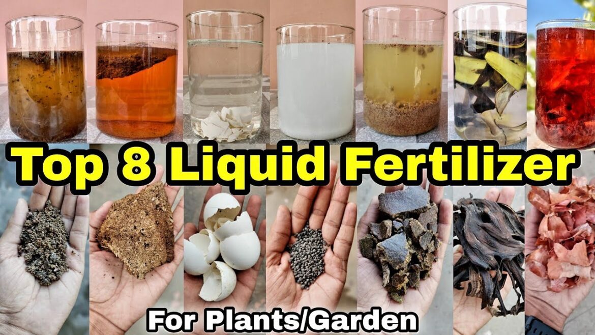 Top 8 Liquid Fertilizer for your Plants / Garden. Top 8 Liquid Fertilizer for your Plants / Garden.