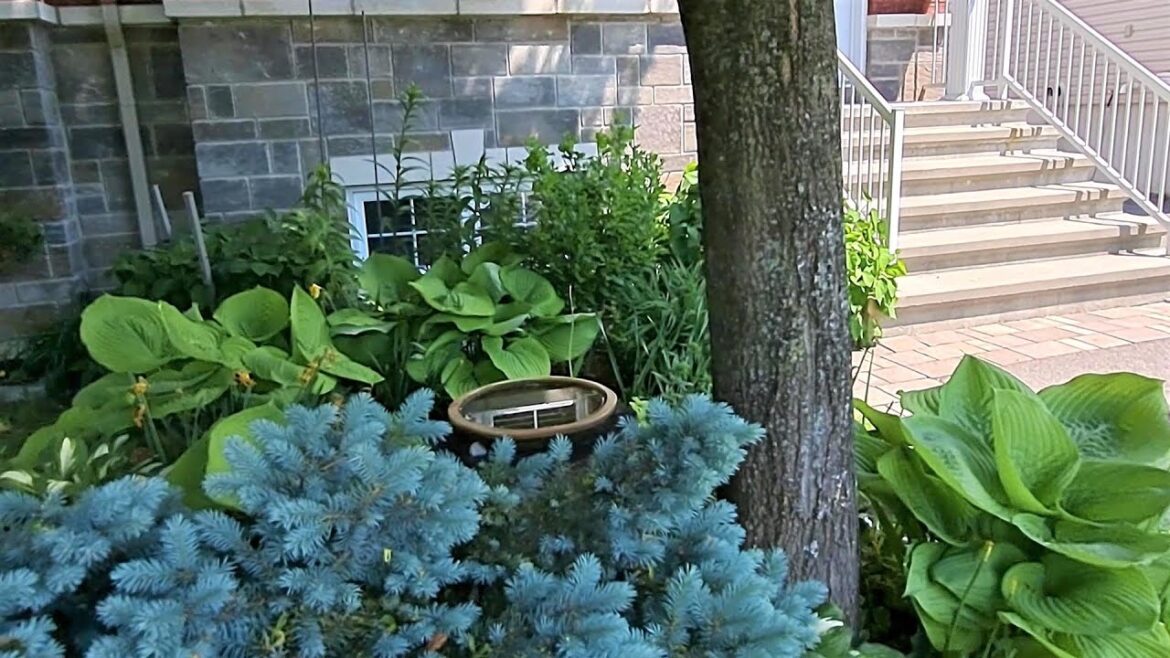 Front Yard Perennial Garden Tour Update | Iris And Alliums #gardening #gardentour #perennials #new Front Yard Perennial Garden Tour Update | Iris And Alliums #gardening #gardentour #perennials #new