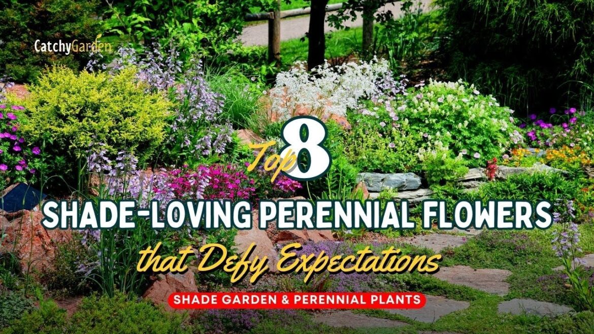 Top 8 Shade-Loving Perennial Flowers that Defy Expectations πΊπ·πΈ // Gardening Ideas Top 8 Shade-Loving Perennial Flowers that Defy Expectations πΊπ·πΈ // Gardening Ideas