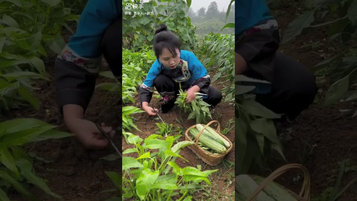 DIY garden| Idea for growing vegetable