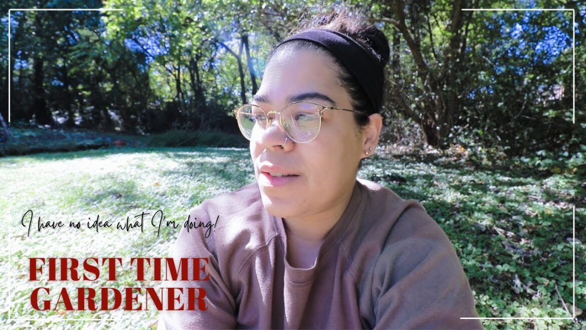 First Time Gardener how to grow food for the first time First Time Gardener how to grow food for the first time