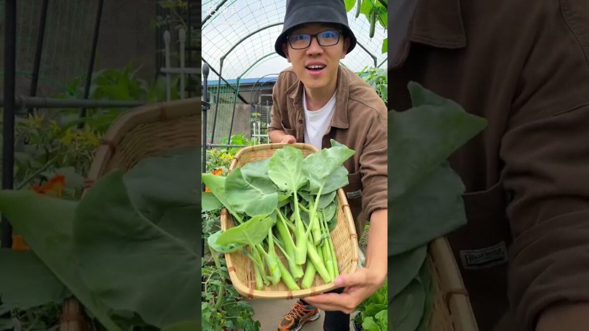 DIY garden| Idea for growing vegetable DIY garden| Idea for growing vegetable