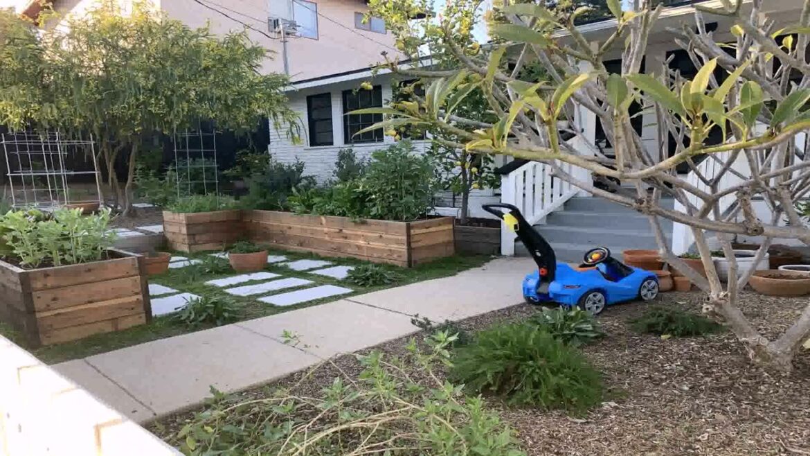 Front Yard Landscaping Ideas Low Water