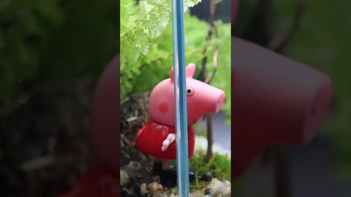 Build a Japanese Garden for Peppa [Terrarium Design] #shorts #diorama