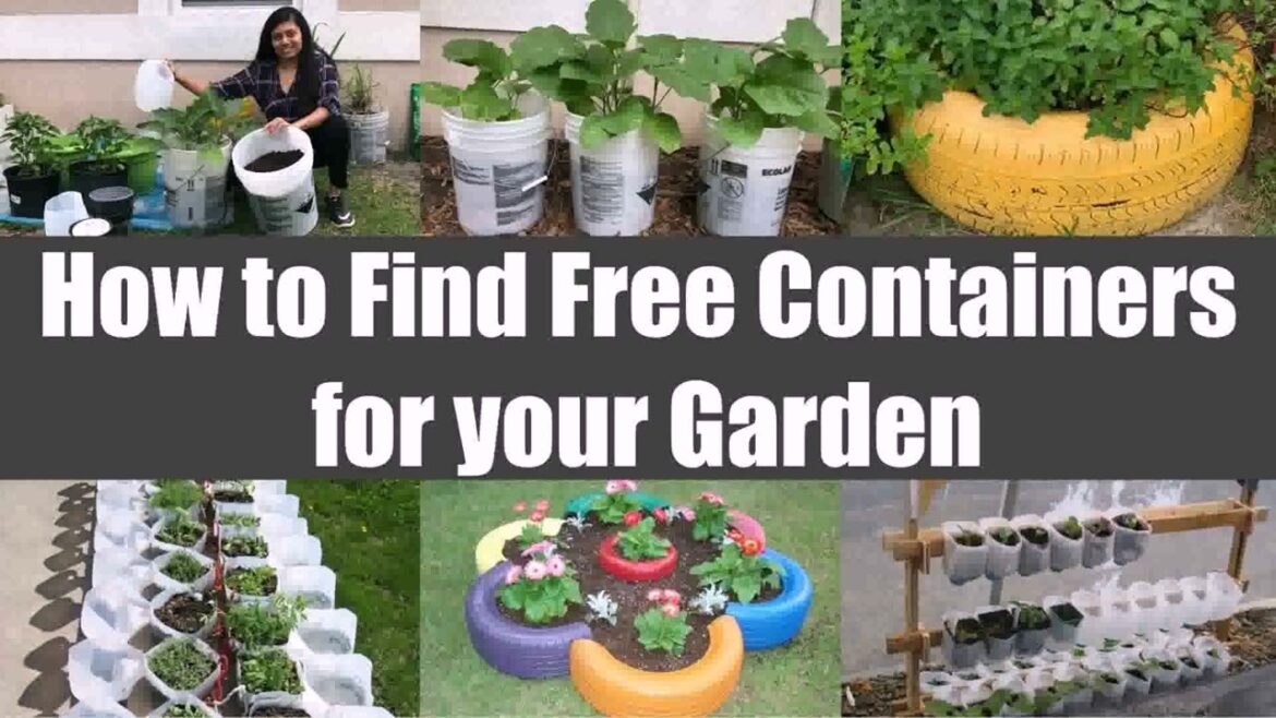 Patio Garden Container Ideas