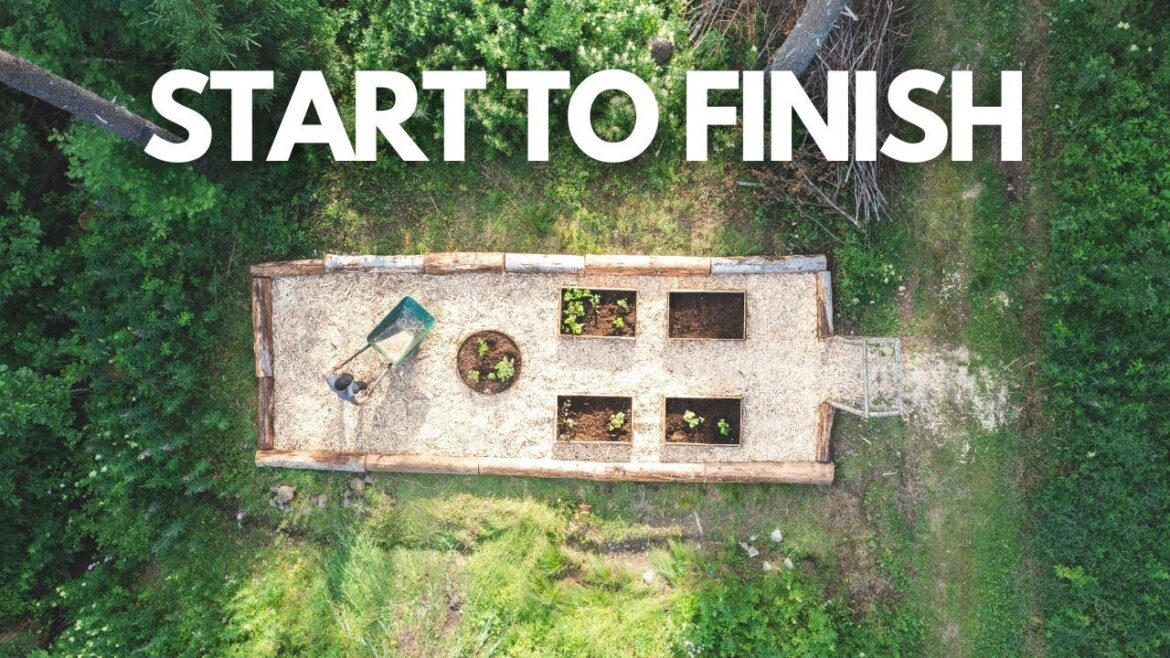 Building a Wild Herb Garden in the Forest Building a Wild Herb Garden in the Forest