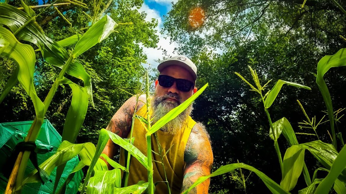 Its simple it hurts and your garden will thank you Its simple it hurts and your garden will thank you