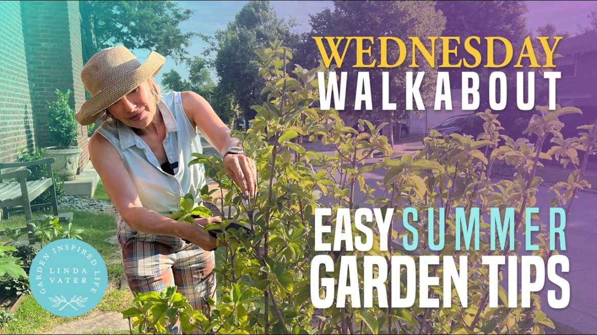 Hot Summer Gardening Tips Hot Summer Gardening Tips