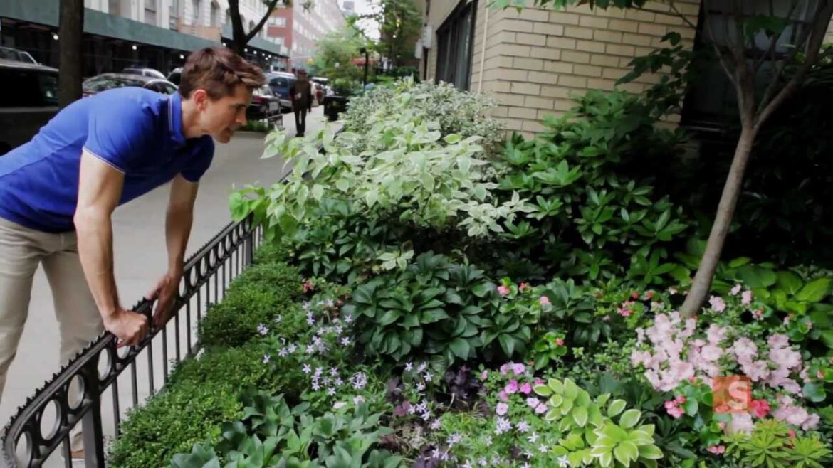 A front yard in Manhattan – Urban Gardener video A front yard in Manhattan - Urban Gardener video