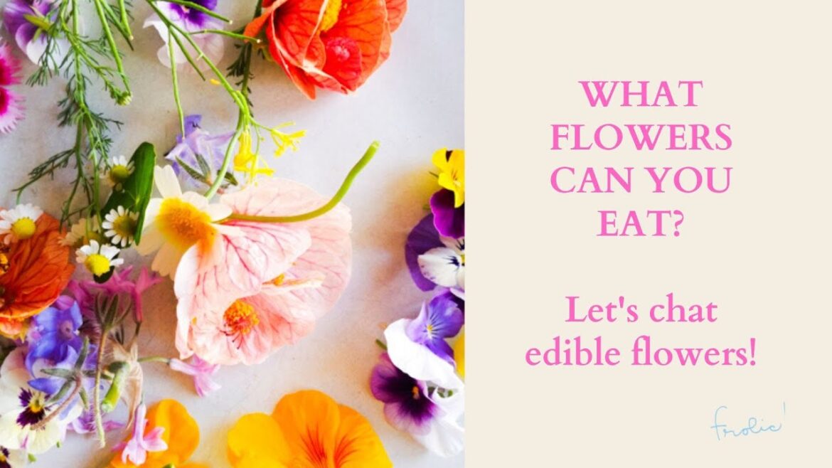 WHAT FLOWERS CAN YOU EAT? | Let's Chat About Edible Flowers!