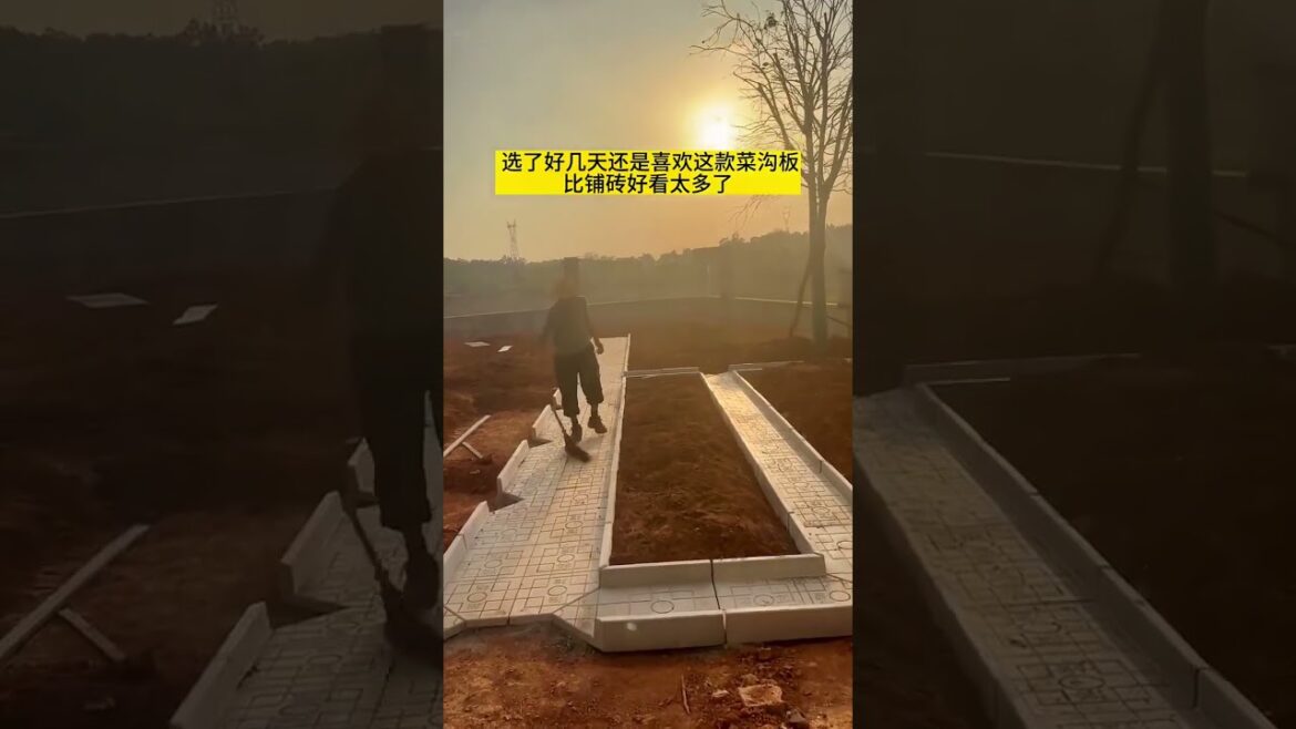 Growing vegetable  in home garden,  #short