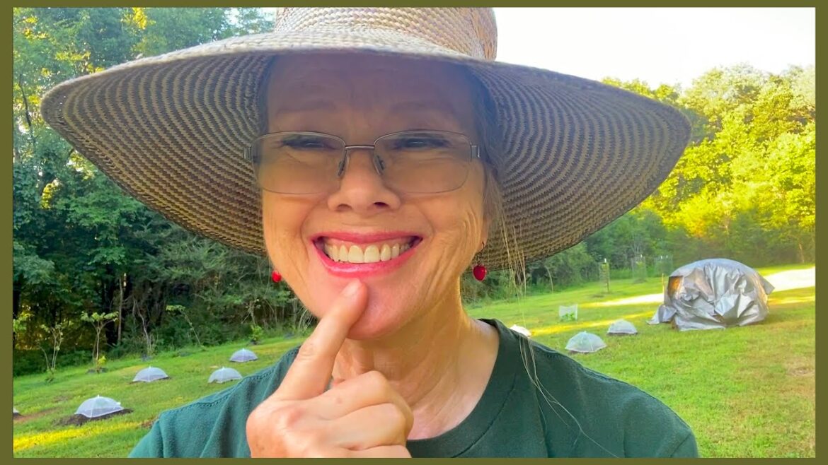 Can we just look from a distance? Garden After Storm!