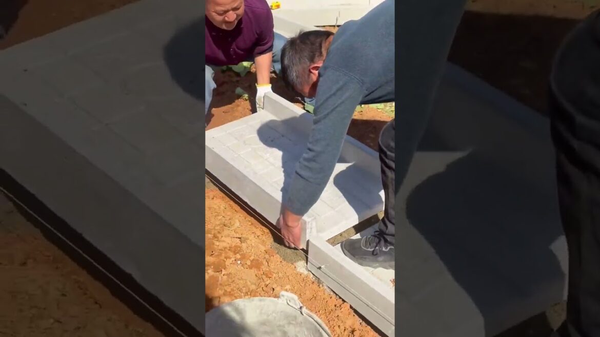 Growing vegetable in home garden, #short Growing vegetable in home garden, #short