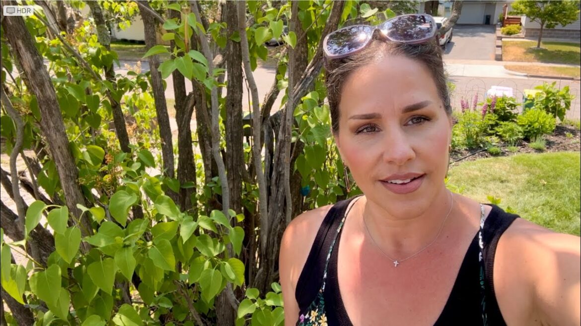 FRONT YARD GARDEN TOUR🌸 PEONY 🌼 SALVIA 🌸 FOX GLOVES 🌸 IRISS 🌸 HYDRANGEA🌸 zone 4 🌱 SPRING 2023