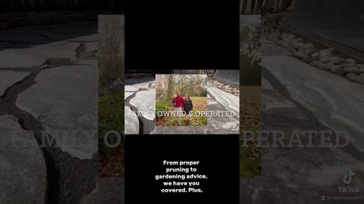 Jacksonville Fl LANDSCAPING Advanced Lawn & Garden Jacksonville Fl LANDSCAPING Advanced Lawn & Garden