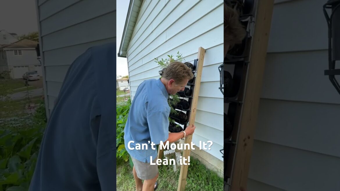 DIY Vertical Gardening Stands #verticalgarden #shorts #gardening #gardendesign #garden #growvertical