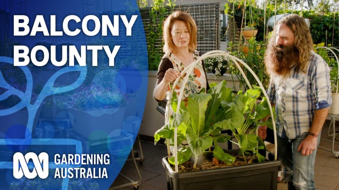 Balcony Bounty | Indoor Plants And Balcony Gardens | Gardening Australia Balcony Bounty | Indoor Plants And Balcony Gardens | Gardening Australia