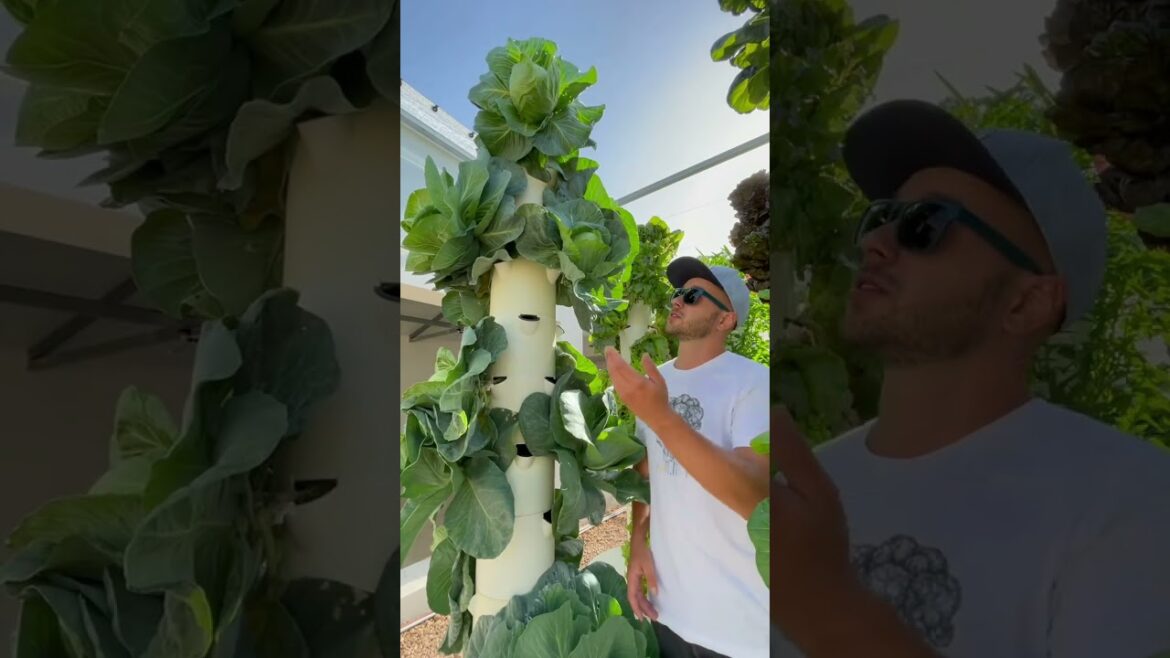 Experience Crop Diversity: Grow 160+ Crops in Aeroponic Towers! #urbangreening #SustainableGardening Experience Crop Diversity: Grow 160+ Crops in Aeroponic Towers! #urbangreening #SustainableGardening