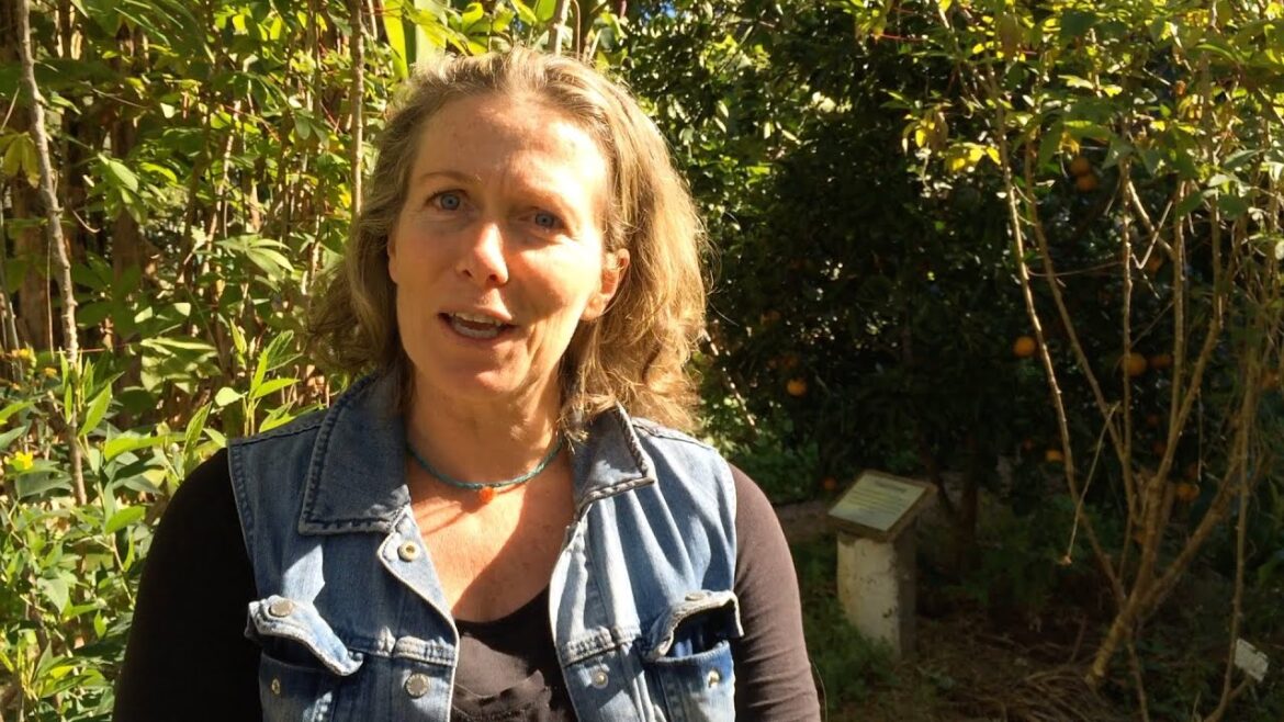 Our Permaculture Life: Sunshine Coast Edible Oasis - Morag Gamble