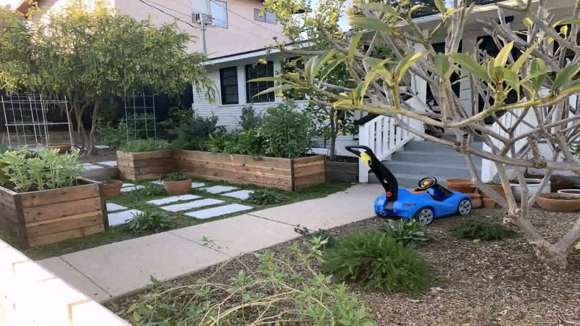 Front Yard Landscaping Ideas Low Water