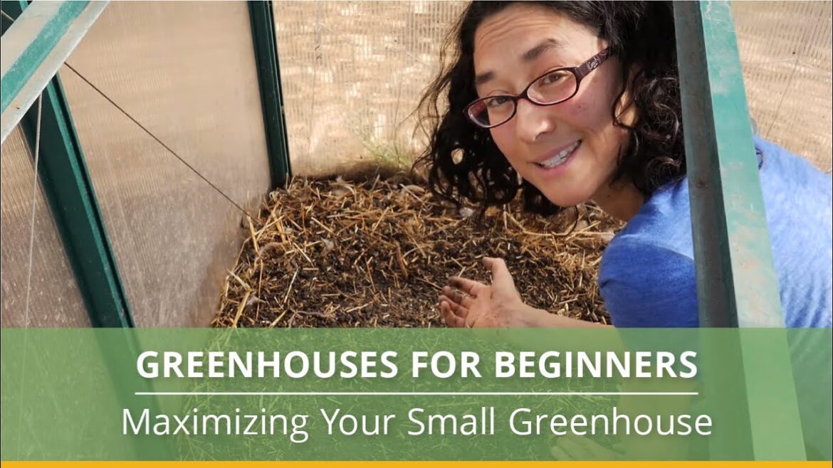 Greenhouse Gardening 101: A Beginner’s Guide Greenhouse Gardening 101: A Beginner’s Guide
