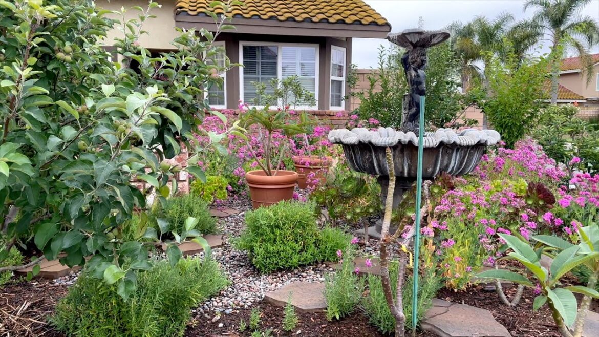 Enjoying the Last Moments of Spring: Front Yard Garden Tour in June!