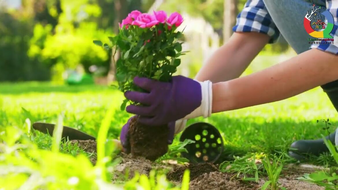 Garden Makeover | Q Pros Landscaping | Canada Garden Makeover | Q Pros Landscaping | Canada