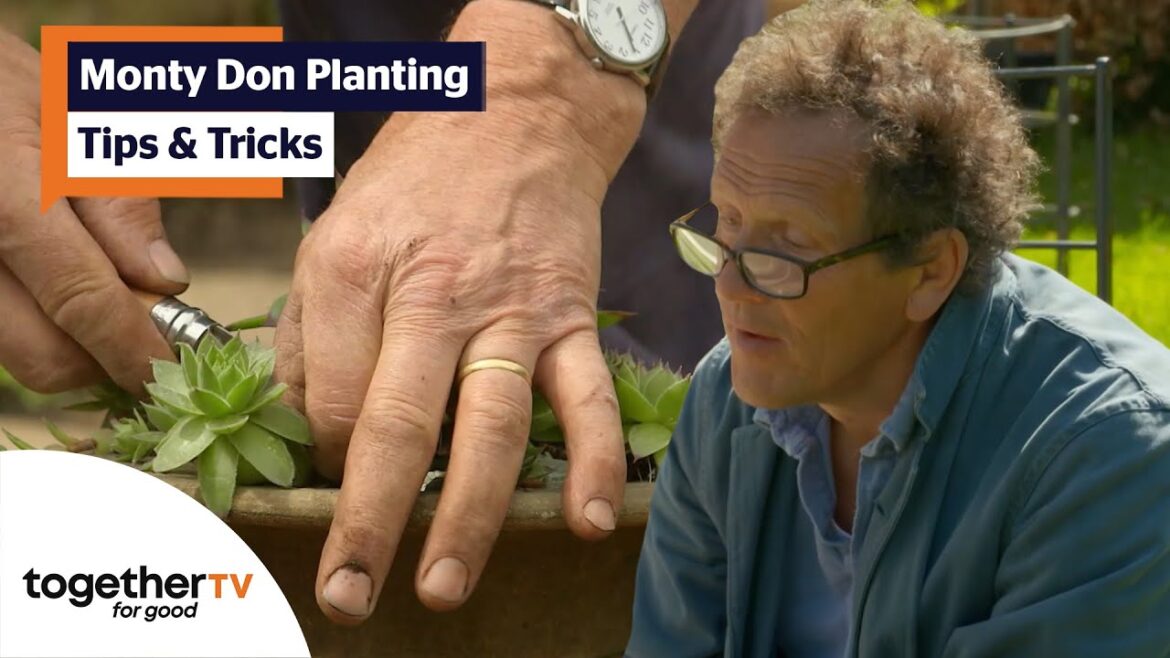 Monty Don’s Tips And Tricks On Gardening and Planting | Big Dreams, Small Spaces | Compilation Monty Don's Tips And Tricks On Gardening and Planting | Big Dreams, Small Spaces | Compilation